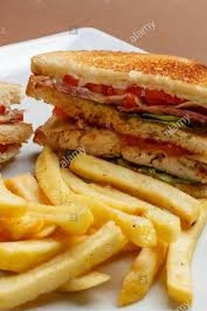 panini gourmet panini gourmet